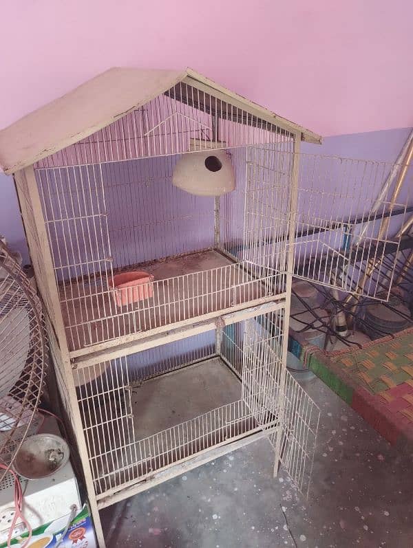 bird cage 1