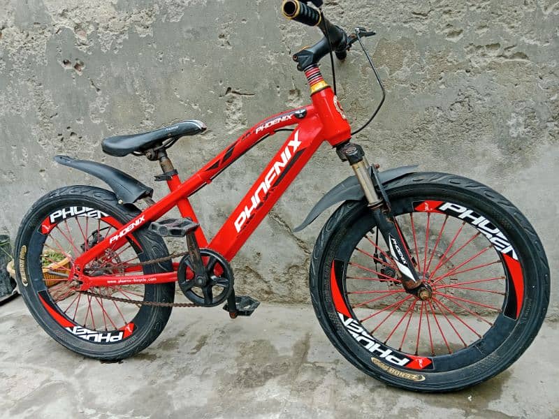 2 kids cycle 20 inch h size 2