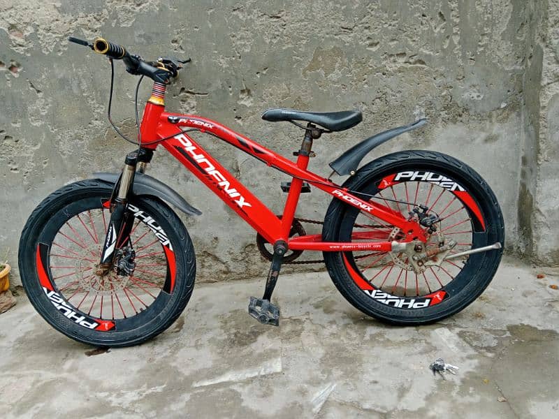 2 kids cycle 20 inch h size 8