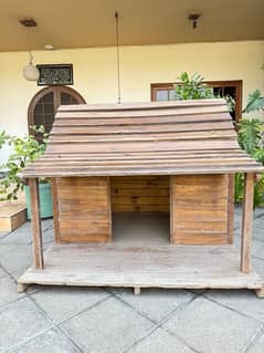 Dog house for sale