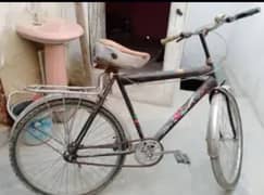 cycle for sale