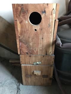 breeding box for lovebirds good size and good conditions