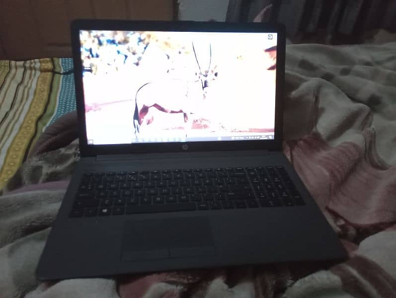 hp 255 g7 notebook pc 4