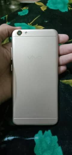 vivo