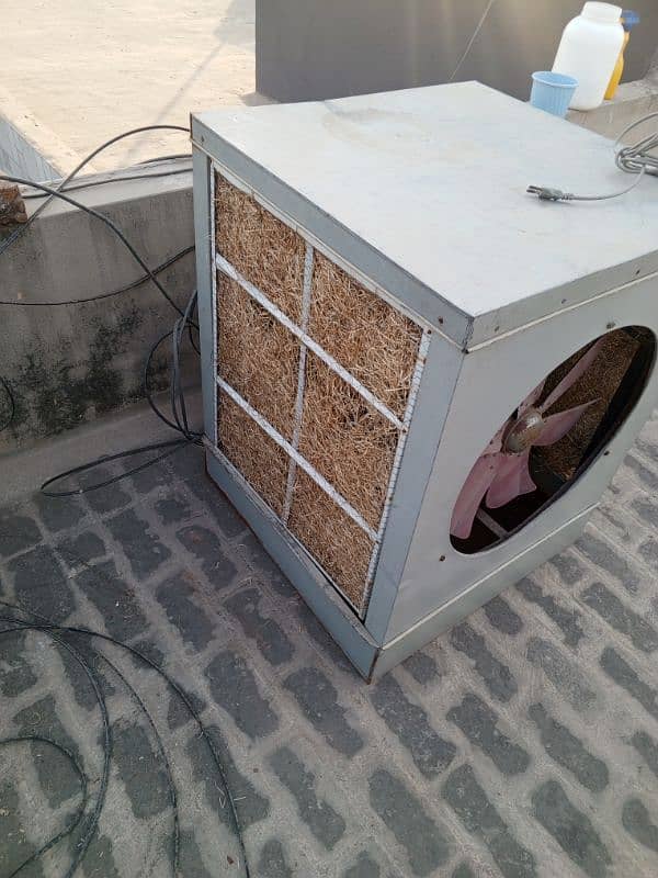 cooler for Sale 1