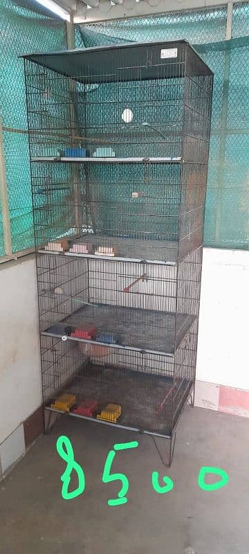 Bird cages for sale 2