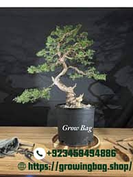 Grow Bags 4