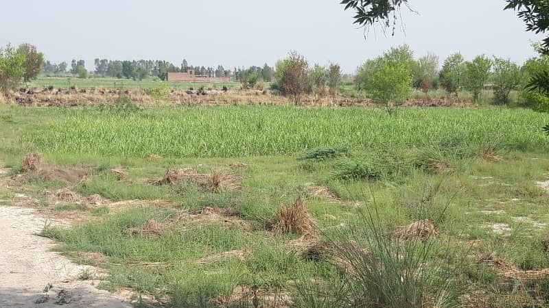 2.5 Acres Commercial/Agricultural Land On Main Expressway Faisalabad 3