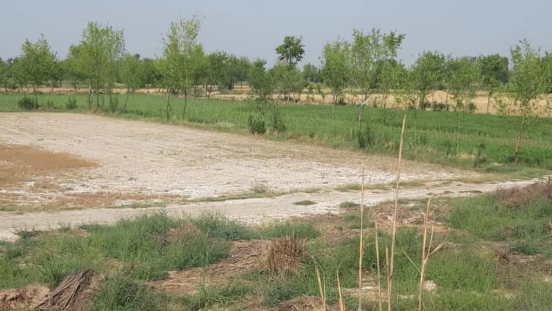 2.5 Acres Commercial/Agricultural Land On Main Expressway Faisalabad 6