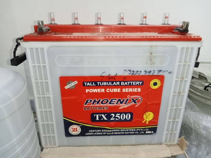 Phoenix tall tubular battery 0