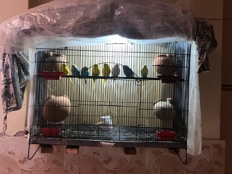 parrot cage without parrot 0