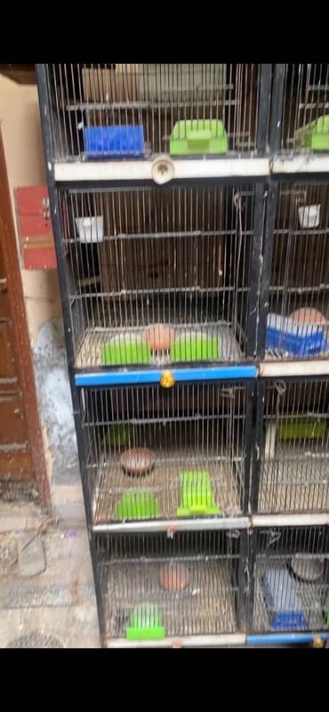 Hand feed haigrn 5 kg Cage Love bird and big bird cages and boxes ki 2