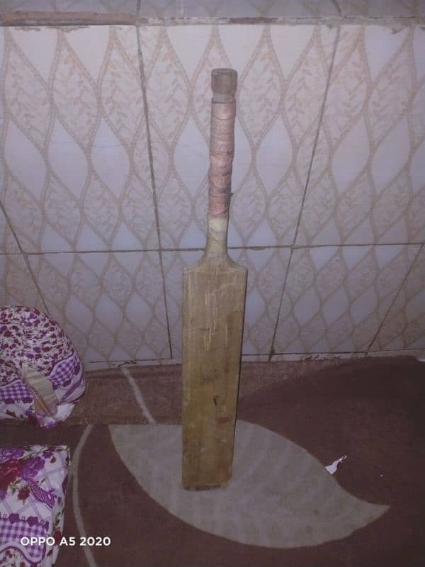 cricket bat 4