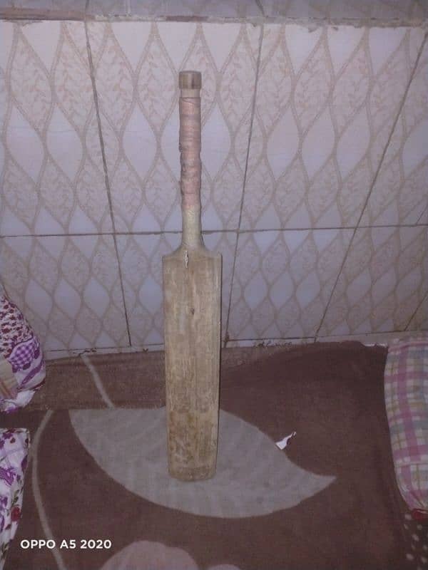 cricket bat 5