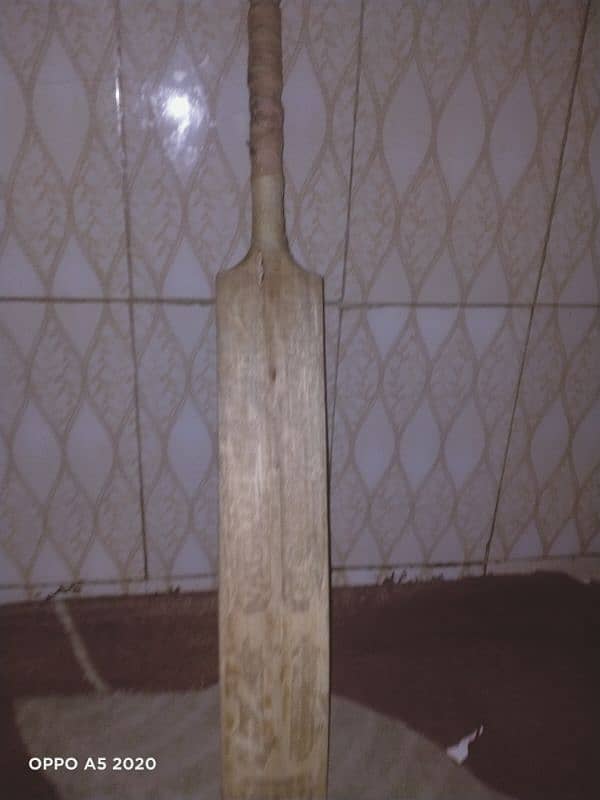 cricket bat 6