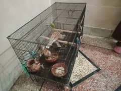 1cage with 2pair khumry