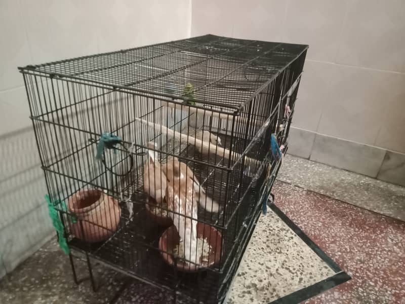 1cage with 2pair khumry 1