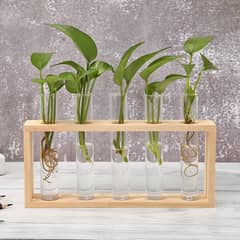 Wooden Propagation Station with Glass Test Tubes – Hydroponic Plant H