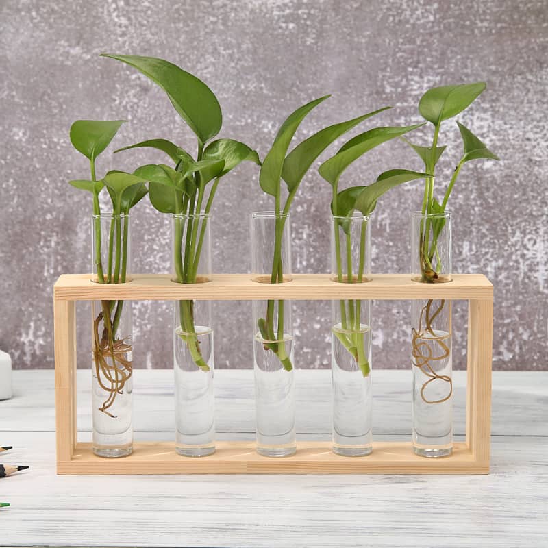 Wooden Propagation Station with Glass Test Tubes – Hydroponic Plant H 0