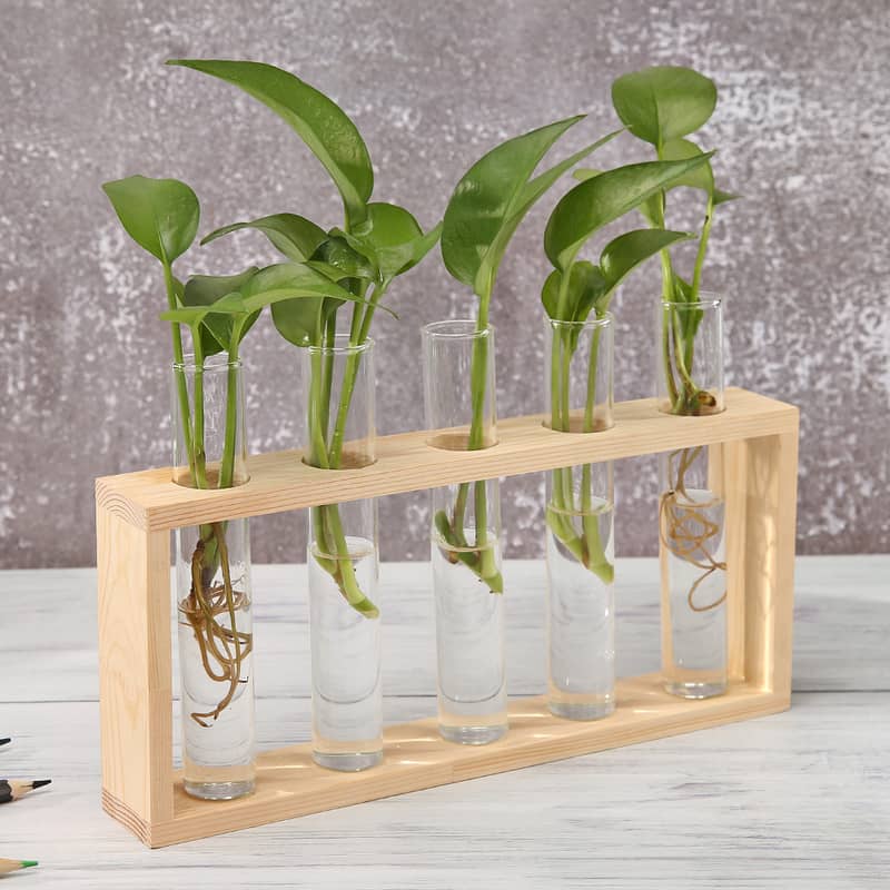 Wooden Propagation Station with Glass Test Tubes – Hydroponic Plant H 2