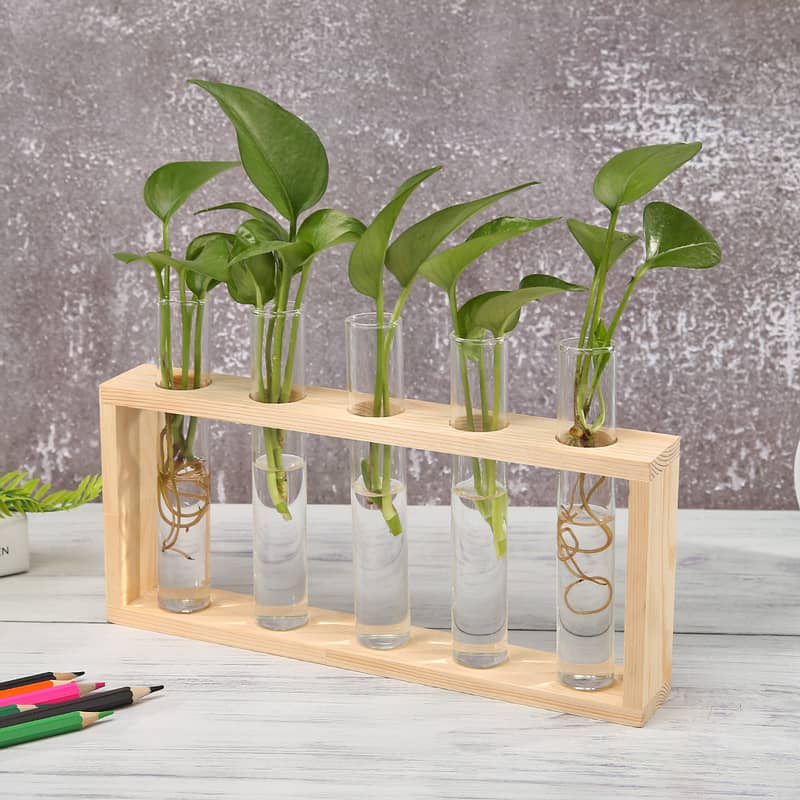 Wooden Propagation Station with Glass Test Tubes – Hydroponic Plant H 3