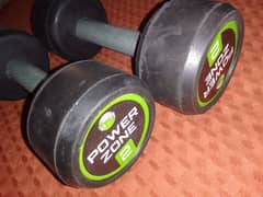 Power Zone dumbbell set 2kg+2kg