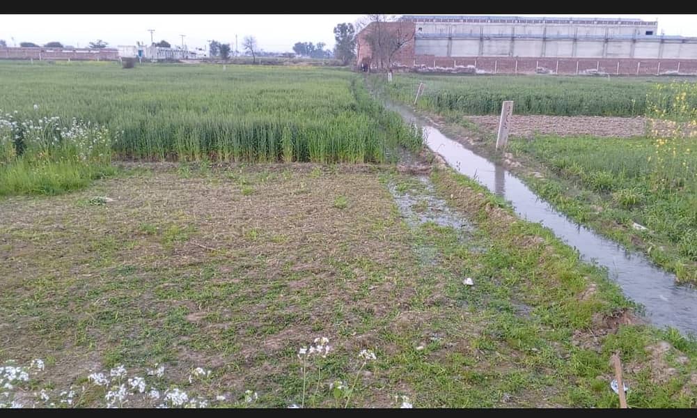 Agricultural Land Of 1 Kanal Available In Lahore - Kasur Road 2