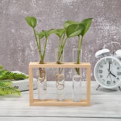 Desktop Glass Plant Propagation Station with 5 Test Tubes in Wooden St