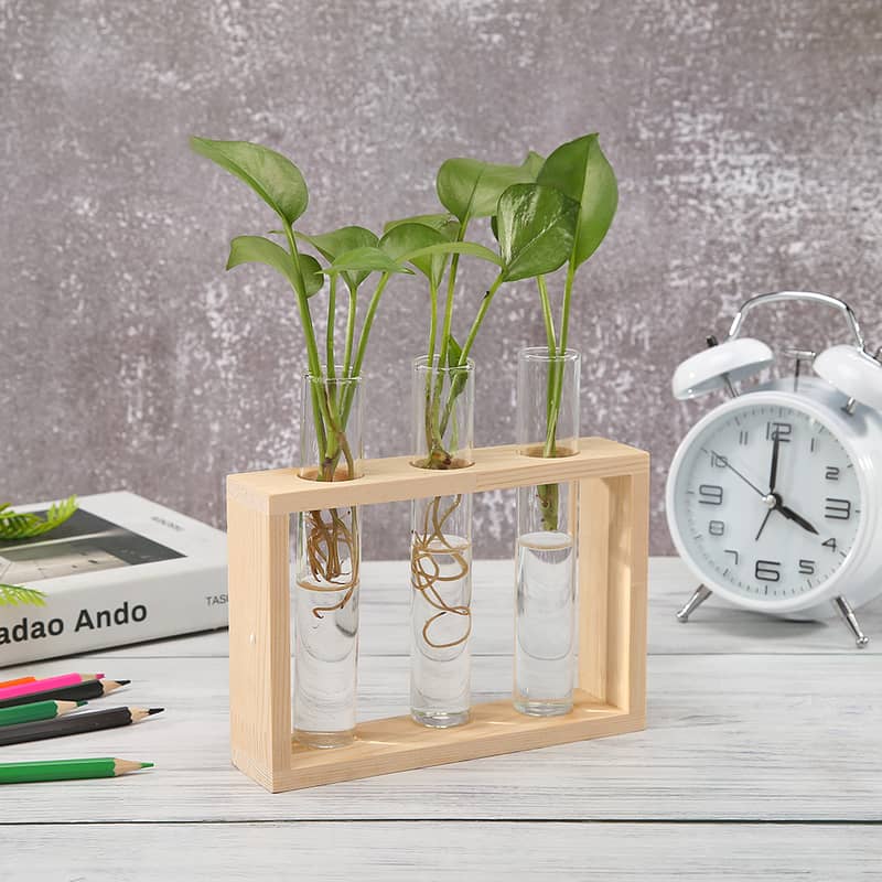 Desktop Glass Plant Propagation Station with 5 Test Tubes in Wooden St 1