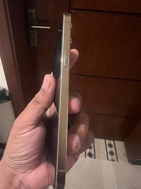 iPhone 12 Pro max pTA approved 3