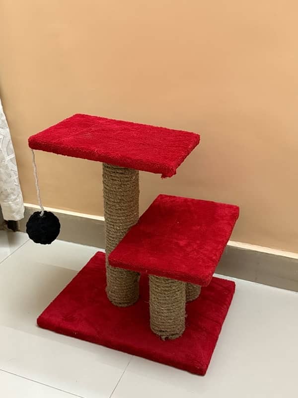 cat scratch post 0