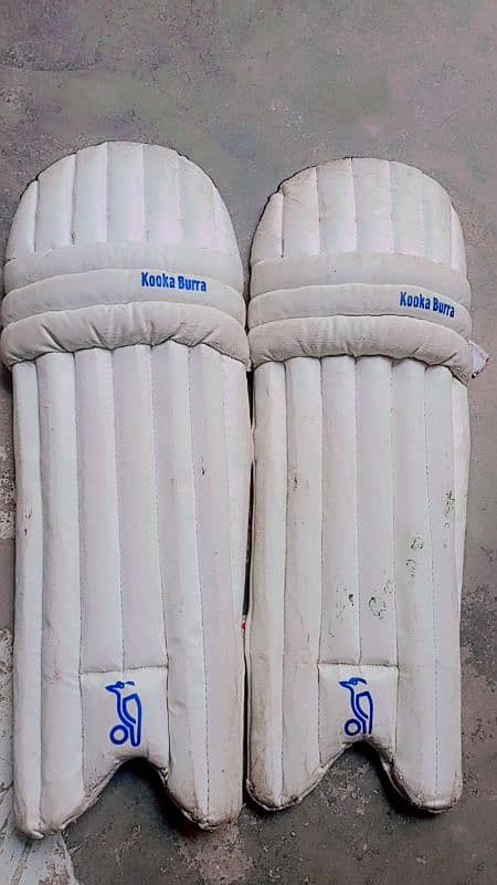 Cricket kit with bag 1