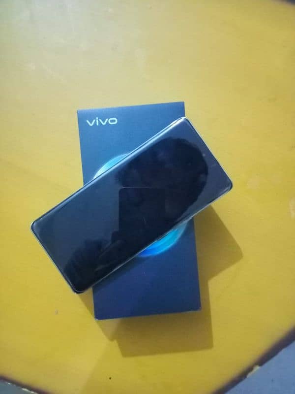 vivo v30 2