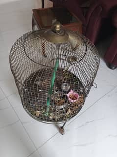 parrot cage for sell