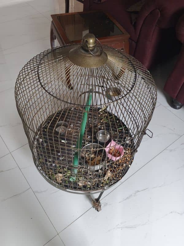 parrot cage for sell 0