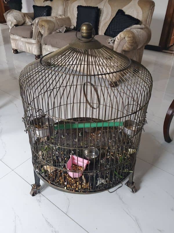 parrot cage for sell 1