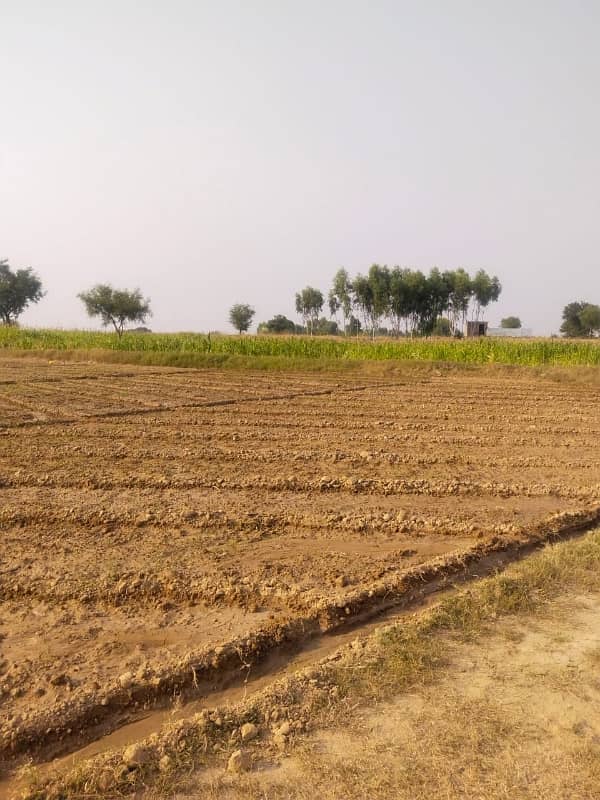 1300 Kanal Agricultural Land For Sale In Chakwal 1