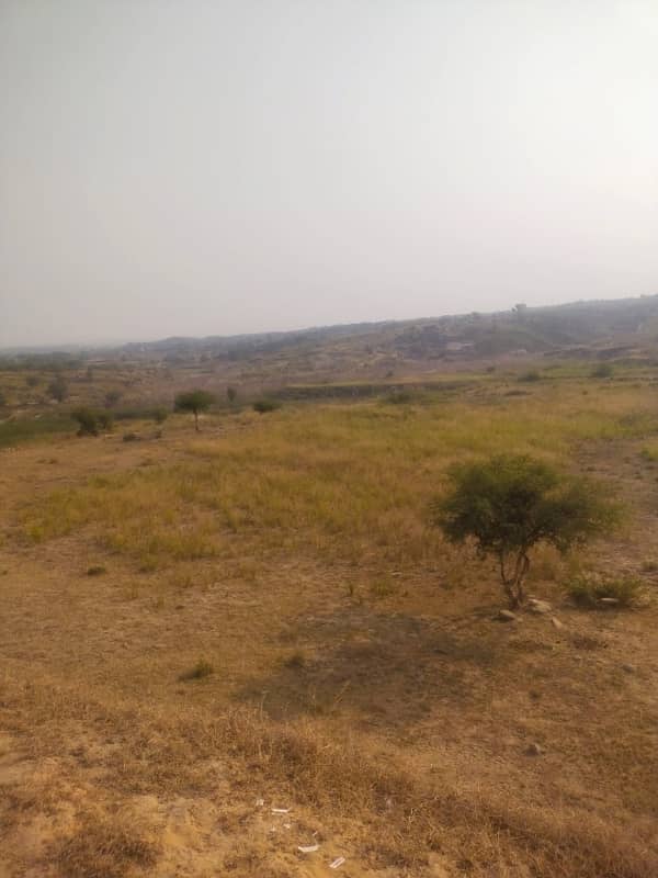 1300 Kanal Agricultural Land For Sale In Chakwal 2