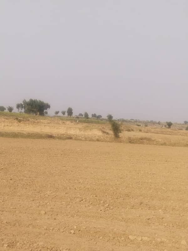 1300 Kanal Agricultural Land For Sale In Chakwal 4