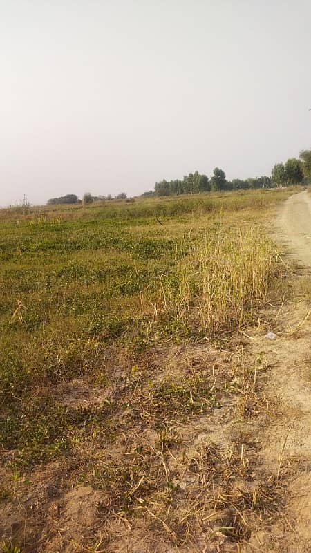 1300 Kanal Agricultural Land For Sale In Chakwal 7