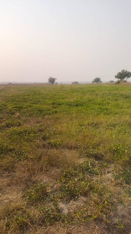 1300 Kanal Agricultural Land For Sale In Chakwal 15