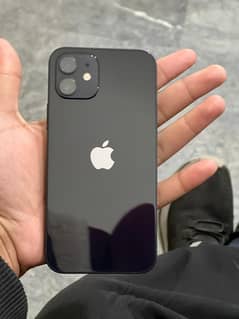 iPhone 12 non pta 64 Gb