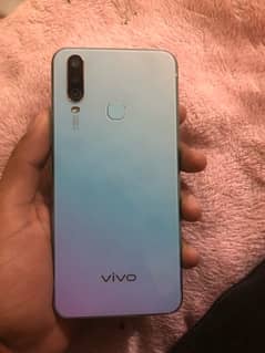 vivo