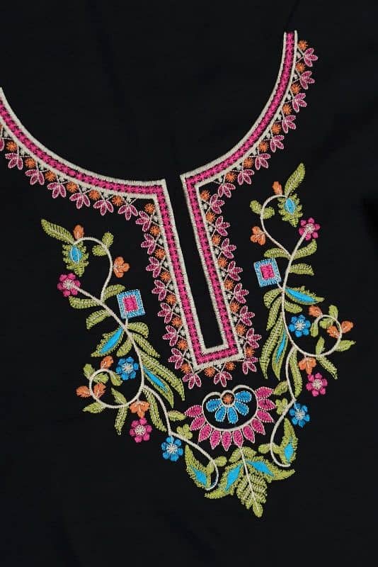 Dhanak Embroidery 2cs 1