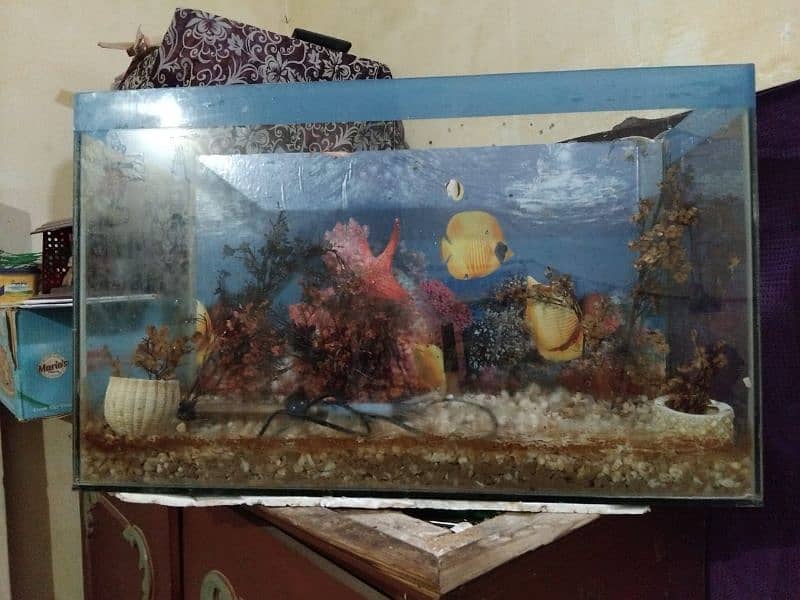 Aquarium 2.5 Feet (0312 4519351) 3