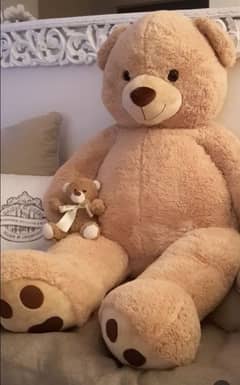 stuff toy/ baby toy teddy bear available in different sizes and clrs