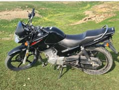 Yamaha YBR 125 2019