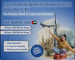 visa visit work permit freelancer UAE