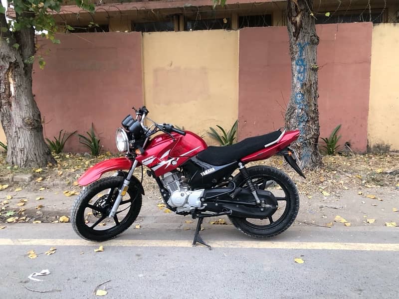 Yamaha ybr 125G 3