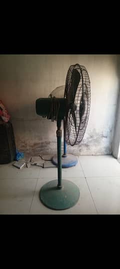 Ceiling fan & Padestal fan